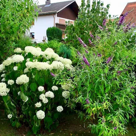 Apartament Koch Nr 5, Souterrain *